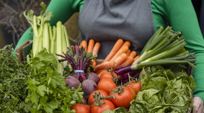 A close-up shot of an unrecognisable woman holding a bunch of fresh vegetables which includes tomatoes, beetroots, carrots radishes, cabbage, and celery, food production