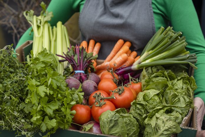 A close-up shot of an unrecognisable woman holding a bunch of fresh vegetables which includes tomatoes, beetroots, carrots radishes, cabbage, and celery, food production