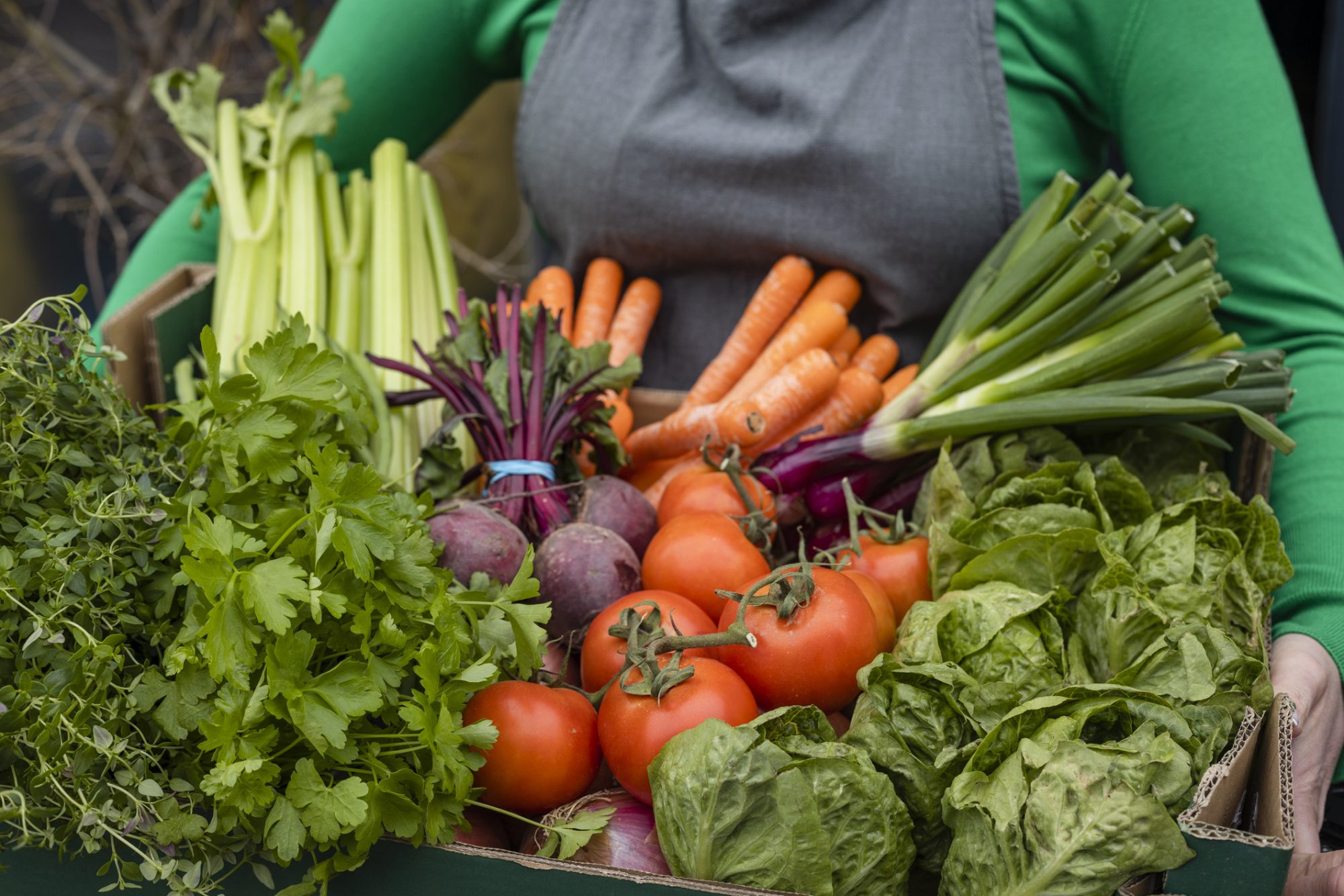 renewfood-manufacturing-food-production-for-a-nourished-resilient-nation