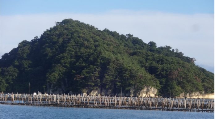 Figure 2: Oyster farming in the Matsushima Bay