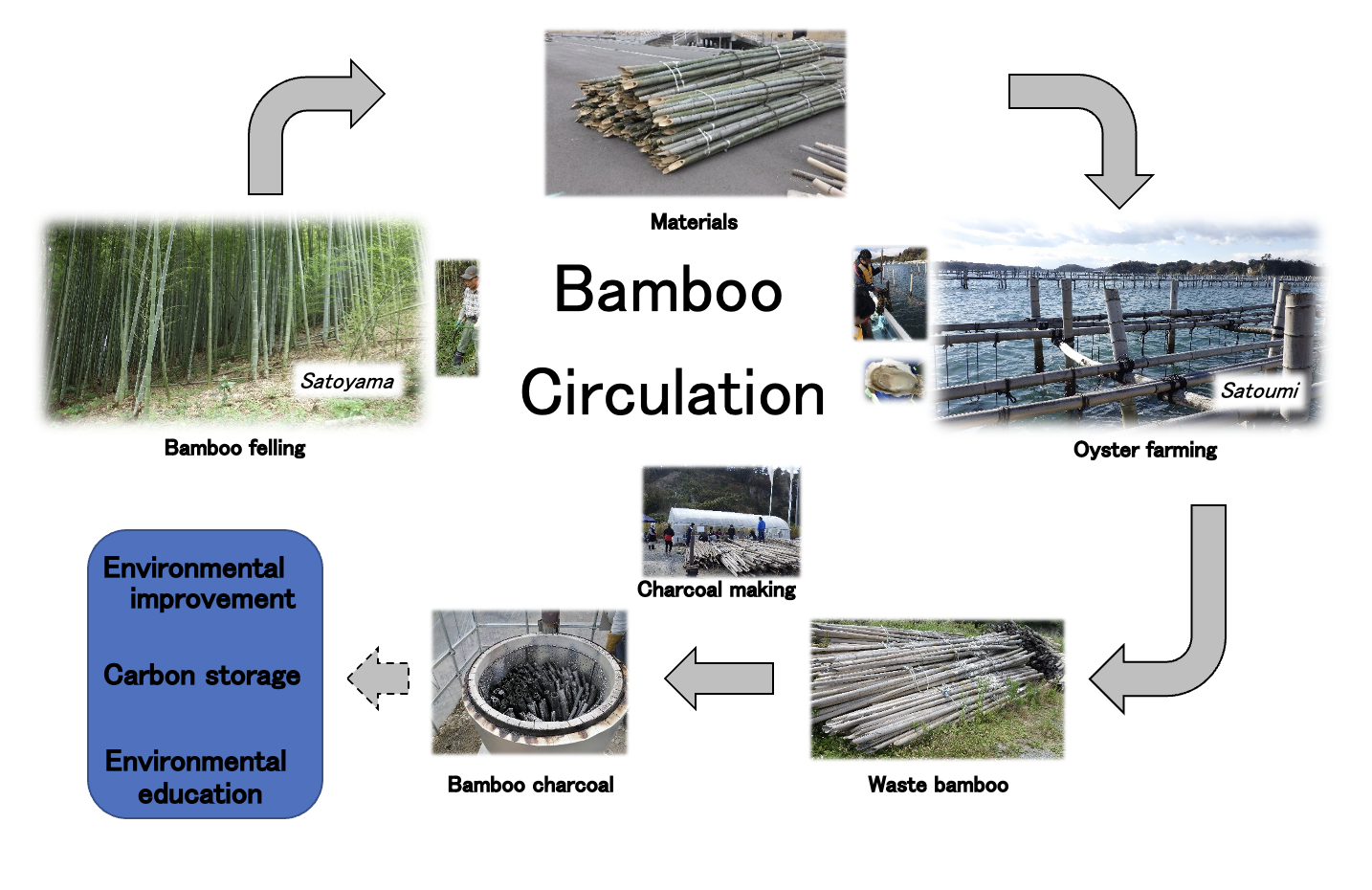 Figure 3: Basic principle of the bamboo circulation project between Satyoyama and Satoumi