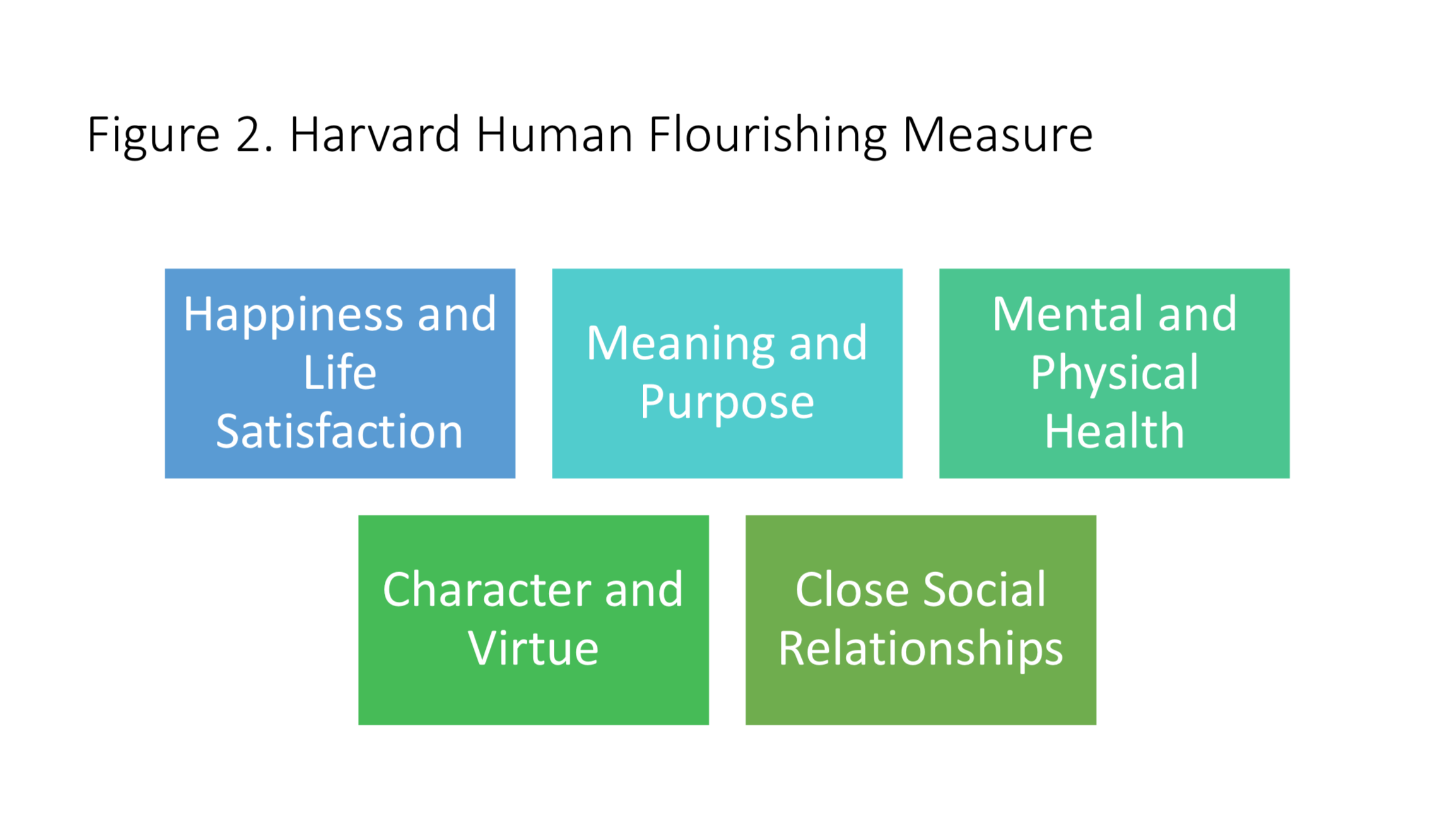 Figure 2. Harvard Human Flourishing Measure