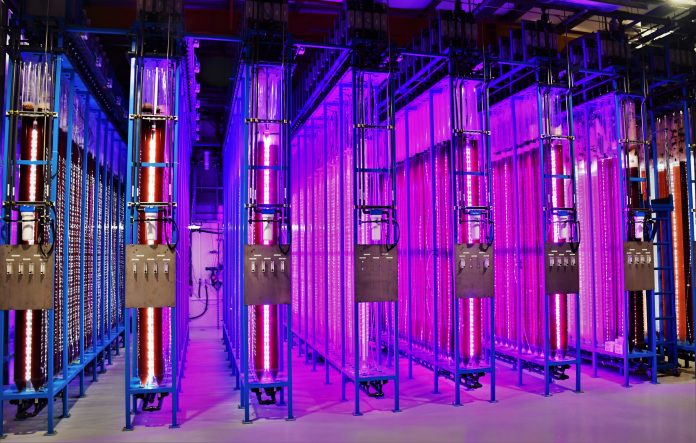 Outdoor photo-bioreactors seize natural sunlight to cultivate microalgae (left), while the light conditions could be controlled for indoor photo-bioreactors creating a Sustainable source of protein