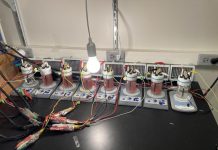 figure 1, washington university image, degrading bioplastics experiment