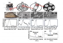 Figure 1. a) fungal mycelium schematic, showing filamentous roots (interconnected threads / tubes transporting water/mineral- nutrients, shown in schematic in (b); (c) schematic of chitinous cellular walls converted into graphitic matrix with integrated UNCD grains (3-5 nm diameter), shown in SEM image in (g), confirmed by HRTEM in (h), characteristic of UNCD, (m0 and (n) XRD spectra confirming the diamond structure of UNCD grans.