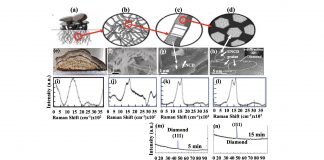 Figure 1. a) fungal mycelium schematic, showing filamentous roots (interconnected threads / tubes transporting water/mineral- nutrients, shown in schematic in (b); (c) schematic of chitinous cellular walls converted into graphitic matrix with integrated UNCD grains (3-5 nm diameter), shown in SEM image in (g), confirmed by HRTEM in (h), characteristic of UNCD, (m0 and (n) XRD spectra confirming the diamond structure of UNCD grans.