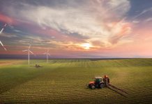 Tractor spraying pesticides on soy field with sprayer at spring