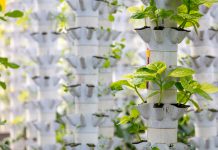 Aquaponics based production method farm