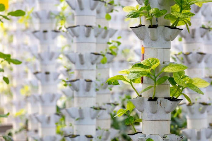 Aquaponics based production method farm