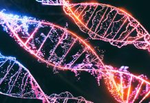 3D images of DNA molecules - DNA strands on black background, science nanotechnology, medical concept, on dark bg, hologram view. genetics, an empirical investigation