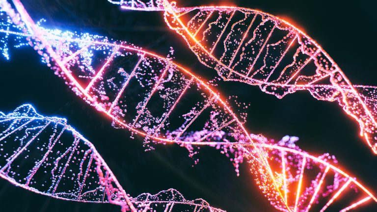 3D images of DNA molecules - DNA strands on black background, science nanotechnology, medical concept, on dark bg, hologram view. genetics, an empirical investigation