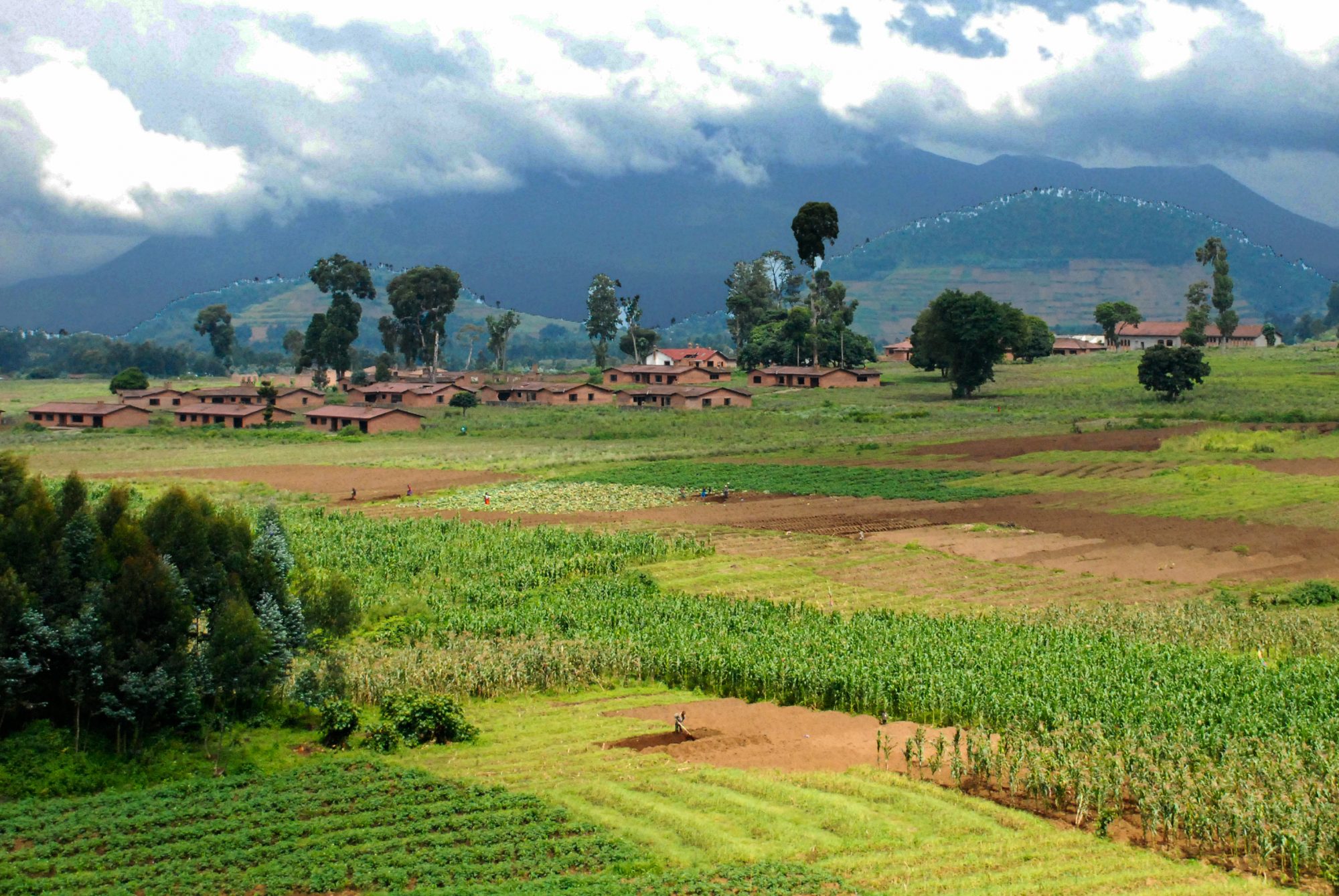 Virunga volcanoes around Mudende Mugongo Rwanda Central Africa