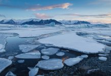 The atmosphere is surreal at dawn in the Jokulsaron lagoon, where seals and a few lucky people can enjoy an endless spectacle, where icebergs float and move slowly dragged by the current.