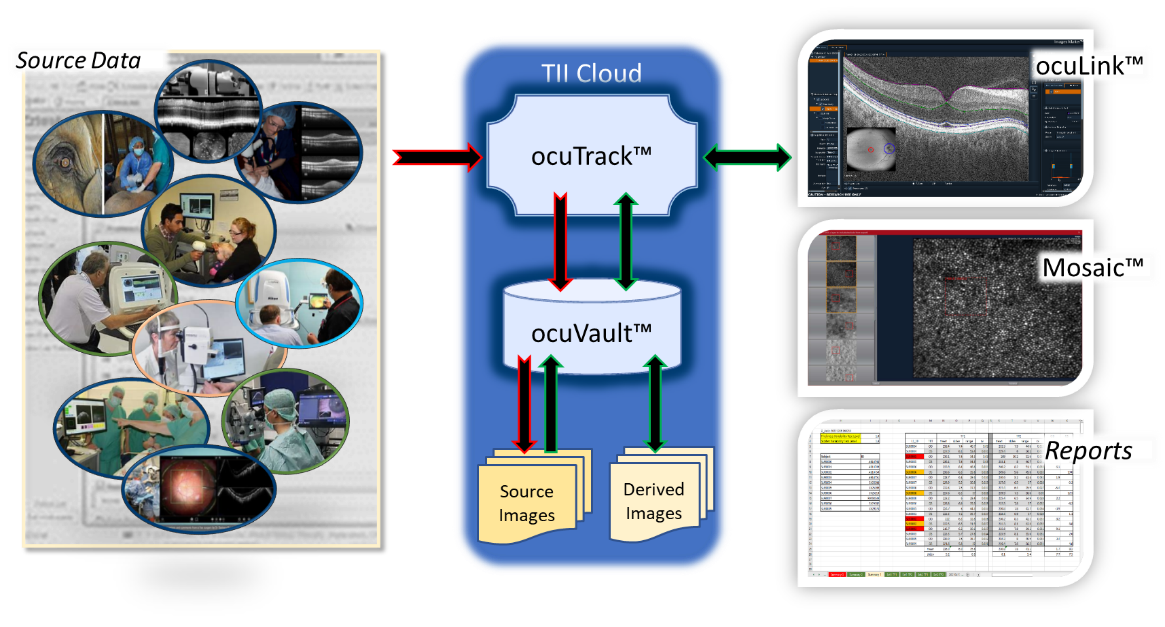 TII CloudTM with ocuTrackTM and ocuVaultTM for Transparent, Traceable, and Secure Image Management