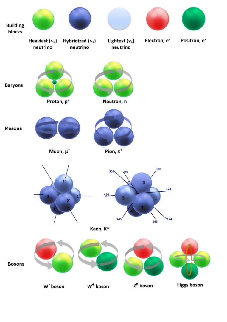 Figure 3. The elementary particles of the Rotating Lepton Model (RLM) (top line) and the RLM structures and composition of baryons, muons, pions, kaons and bosons (10)