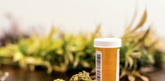 Marijuana buds sitting next to prescription medicine bottle