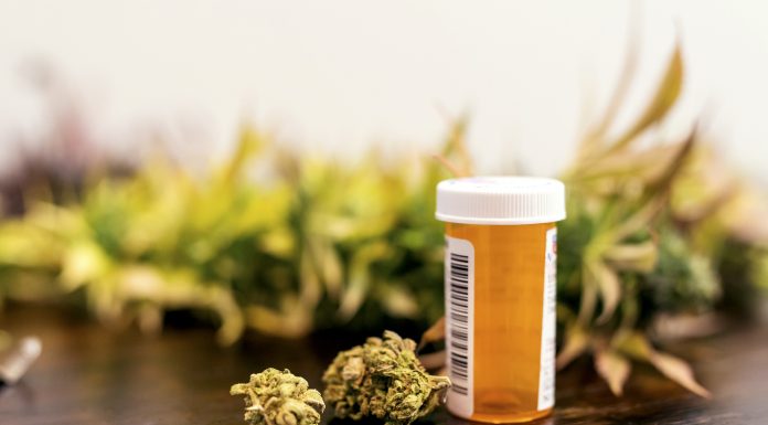 Marijuana buds sitting next to prescription medicine bottle