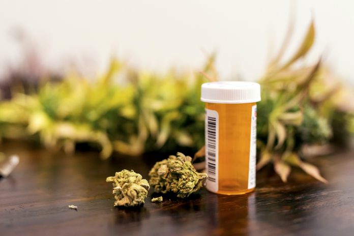 Marijuana buds sitting next to prescription medicine bottle