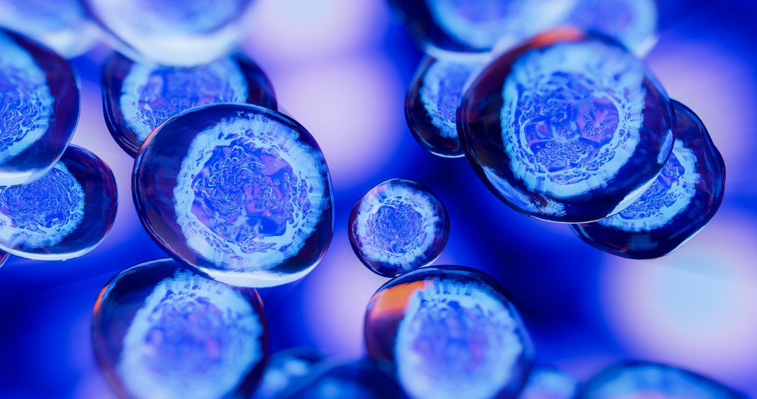 Cellular therapy. 3d illustration