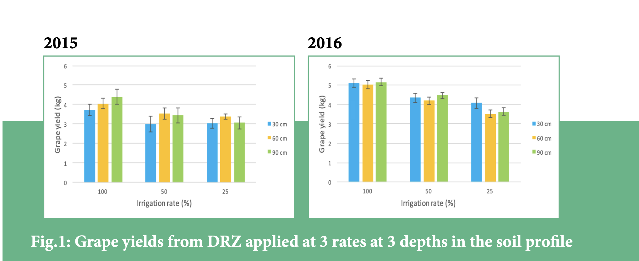 Direct root-zone: A novel form of subsurface irrigation delivery in vineyards