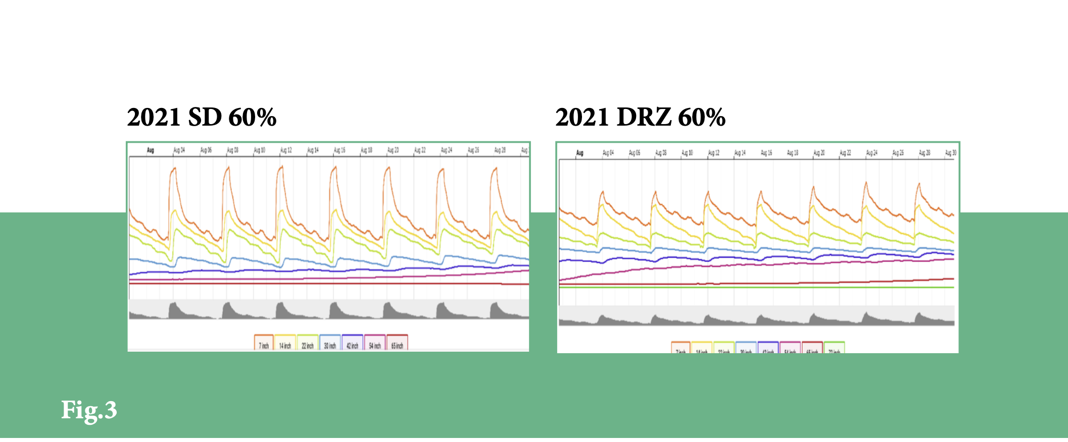 Direct root-zone: A novel form of subsurface irrigation delivery in vineyards