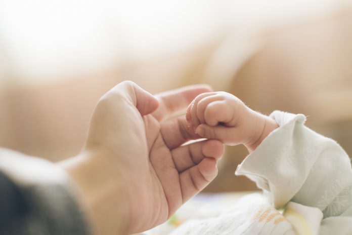 Photo of newborn baby holding its parents hand