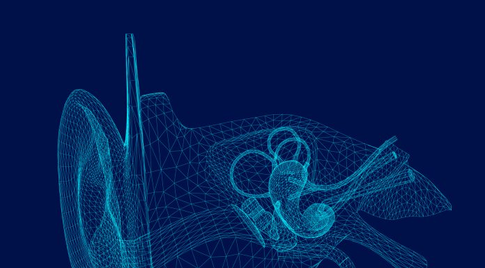 Wireframe of the internal structure of the human ear. 3D. Front view. Vector illustration.