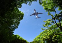 Looking up flying airplane over the natural frame of treetops against blue sky, concept of sustainable aviation