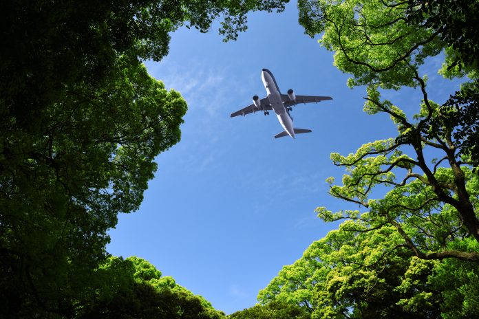 Looking up flying airplane over the natural frame of treetops against blue sky, concept of sustainable aviation