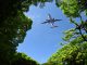 Looking up flying airplane over the natural frame of treetops against blue sky, concept of sustainable aviation