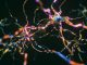 Neurons Cells System - 3d rendered image of Interconnected Neurons with electrical pulses. Conceptual medical animation. Healthcare concept. SEM [TEM] hologram view. Glowing neurons signals.
