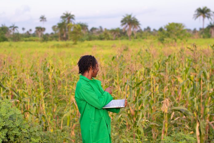 African agriculture