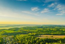 Green forest aerial view. Drone photography. Summer sky. Sustainability. Nature conservation. Morning