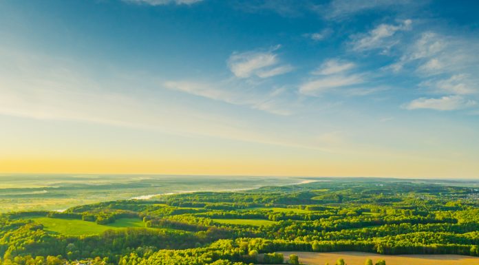 Green forest aerial view. Drone photography. Summer sky. Sustainability. Nature conservation. Morning