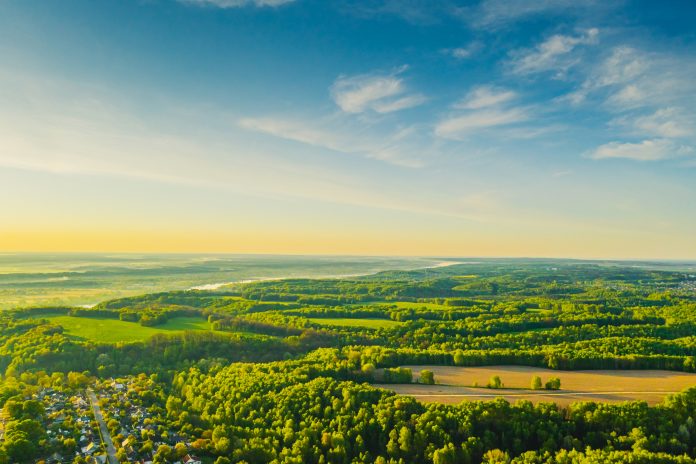 Green forest aerial view. Drone photography. Summer sky. Sustainability. Nature conservation. Morning