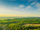 Green forest aerial view. Drone photography. Summer sky. Sustainability. Nature conservation. Morning