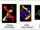 Alternative flipon conformations compared to Watson and Crick DNA are displayed in the left panel. Flipons offer a new way to program the genome