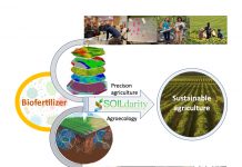 Figure 1: Conceptual model on how biofertilizers can boost the integration of agroecology and precision agriculture techniques.