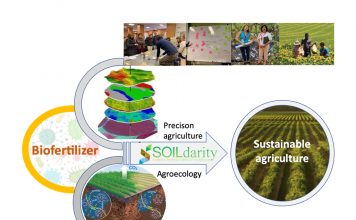 Figure 1: Conceptual model on how biofertilizers can boost the integration of agroecology and precision agriculture techniques.