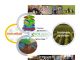 Figure 1: Conceptual model on how biofertilizers can boost the integration of agroecology and precision agriculture techniques.