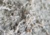 Detailed photography of constructional material with asbestos fibres. Health harmful and hazards effects. Prolonged inhalation of microscopical fibers causes fatal illnesses including lung cancer, mesothelioma