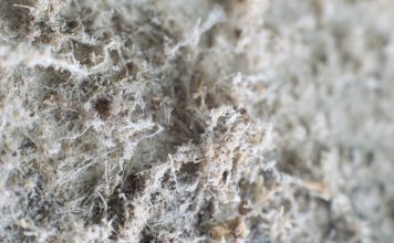 Detailed photography of constructional material with asbestos fibres. Health harmful and hazards effects. Prolonged inhalation of microscopical fibers causes fatal illnesses including lung cancer, mesothelioma