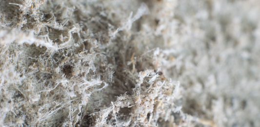 Detailed photography of constructional material with asbestos fibres. Health harmful and hazards effects. Prolonged inhalation of microscopical fibers causes fatal illnesses including lung cancer, mesothelioma
