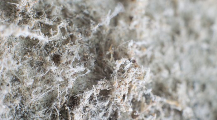 Detailed photography of constructional material with asbestos fibres. Health harmful and hazards effects. Prolonged inhalation of microscopical fibers causes fatal illnesses including lung cancer, mesothelioma