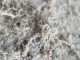 Detailed photography of constructional material with asbestos fibres. Health harmful and hazards effects. Prolonged inhalation of microscopical fibers causes fatal illnesses including lung cancer, mesothelioma