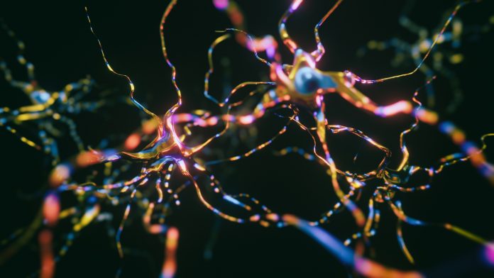 Neurons Cells System