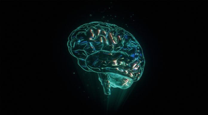 Human brain hologram on black background