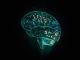 Human brain hologram on black background