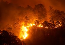 Forest fire at night, Climate change human health and wildfires