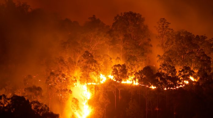 Forest fire at night, Climate change human health and wildfires